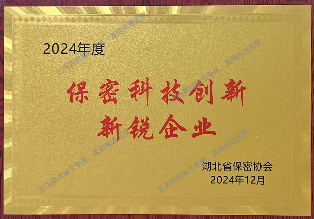 保密科(kē)技(jì)創新新銳企業(yè)
